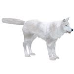 Arctic Wolf (Titan)