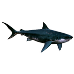 Ginsu Shark (Royboy407)