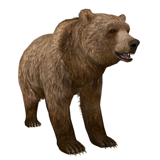 Grizzly Bear (Aurora Designs) | ZT2 Download Library Wiki