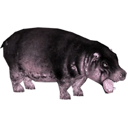 Category:Hexaprotodon Pack (Purple Hippo) | ZT2 Download Library