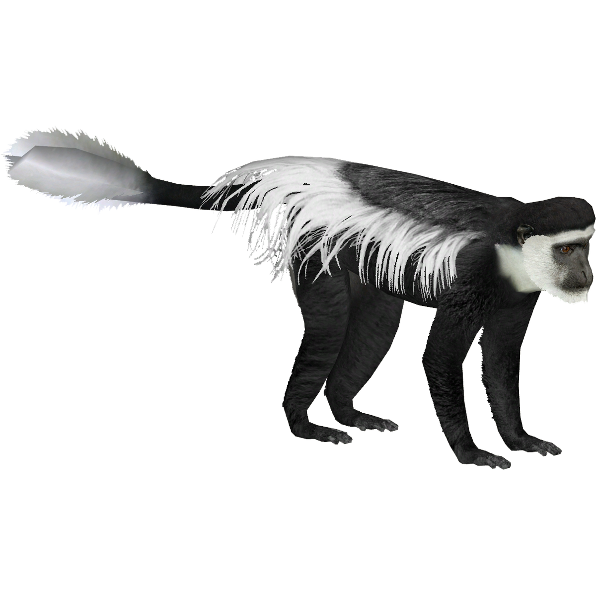 Mantled Guereza (Ulquiorra) | ZT2 Download Library Wiki | Fandom