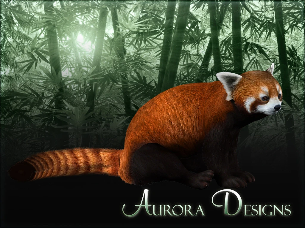 aurora red panda