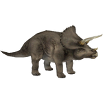 Jurassic Park Triceratops (BioHazard)