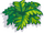 Low Fern-icon.png