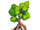 Mangrove-icon.png