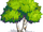 Green Birch-icon.png