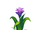 Bromeliad-icon.png