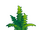 Fern-icon.png