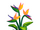 Bird of Paradise-icon.png