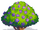 Jacaranda-icon.png