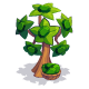 Green Gem Tree