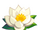 White Lotus-icon.png