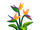 Bird-of-Paradise-icon.png