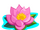 Hot Pink Lotus-icon.png