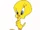 Kanarek Tweety