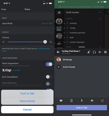 Discord Voice Settings
